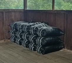 Castaña barrica